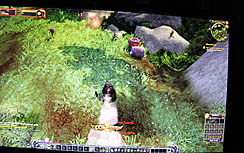 #013Υͥ/G-Star 2011ϡWorld of Warcraft: Mists of Pandariaפץ쥤֥ŸѥˤϤޤʤѥι
