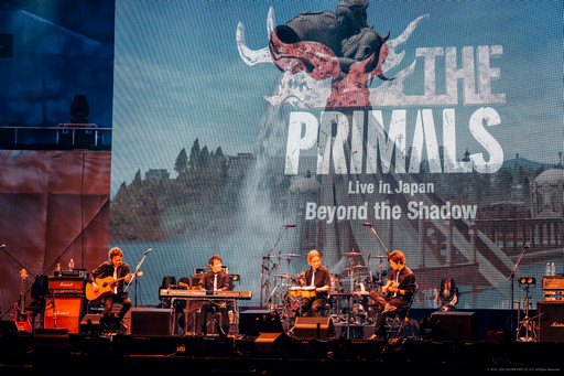 #020Υͥ/4ǯ֤ΡTHE PRIMALS饤֤ˡȥ쥸ɡɤо졪THE PRIMALS Live in Japan - Beyond the ShadowץݡȤǺ