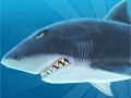 ʥ᤬ݤ롣ޡȥեHungry Shark EvolutionפҲ𤹤֡ʤۤܡޥۥ̿332